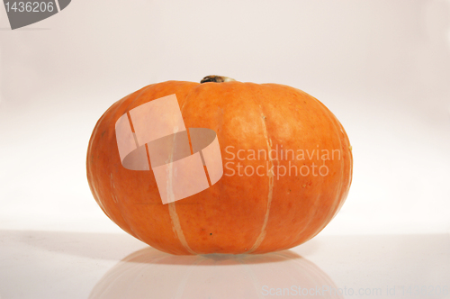 Image of Pumpkin