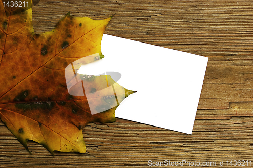 Image of Autumn card