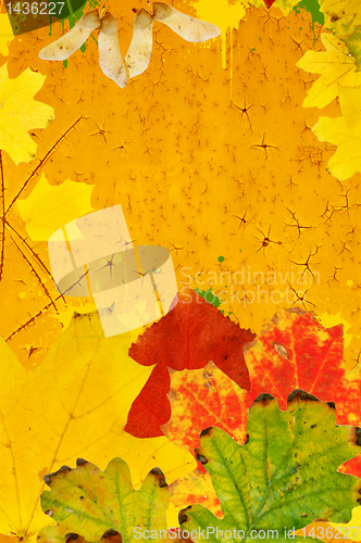 Image of autumn background