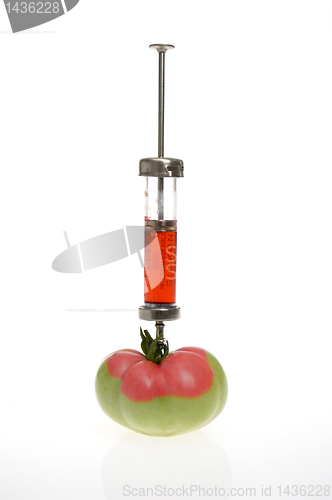 Image of genetic modified food concept