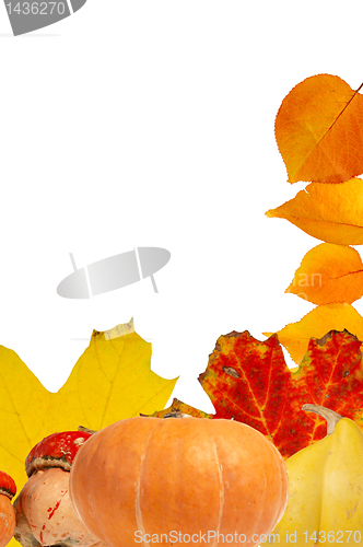 Image of Autumn leaves