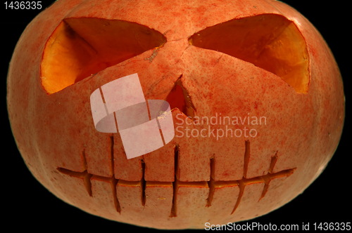 Image of Halloween pumpkin