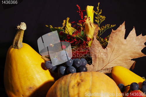 Image of Autumn pumpkin composition