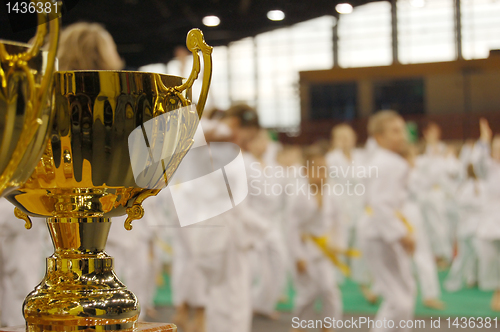 Image of karate tournament