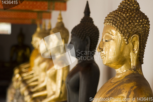 Image of Many buddhas in Thailand