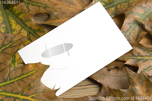 Image of Autumn card