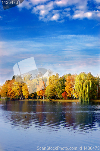 Image of Autumn scene