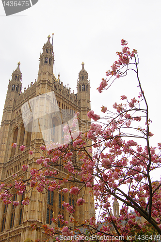 Image of Spring in London