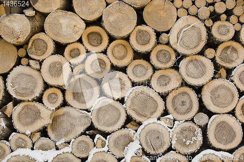 Image of Pile of frozen logs