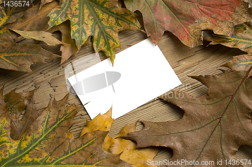 Image of Autumn card