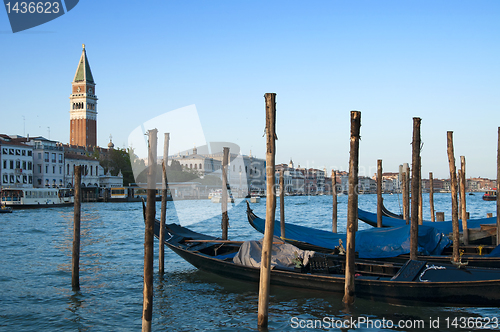 Image of Gondolas and St Mark's Campanile, Venice, Italy