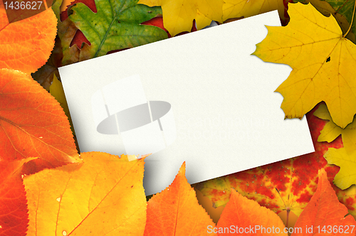 Image of Autumn card