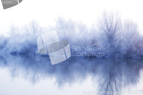 Image of White winter landscape