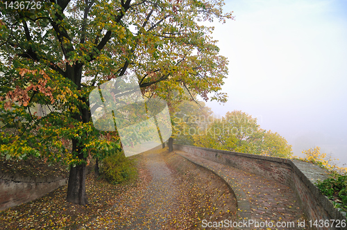 Image of Fall morning