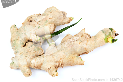 Image of ginger over white background