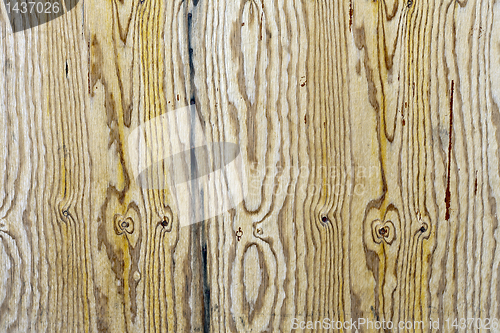 Image of Wooden logs wall of rural house background