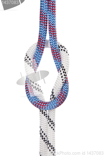 Image of climbing ropes