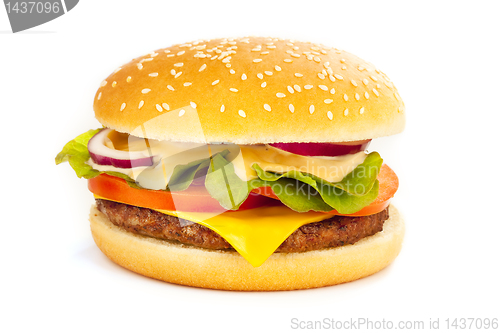 Image of Cheese burger