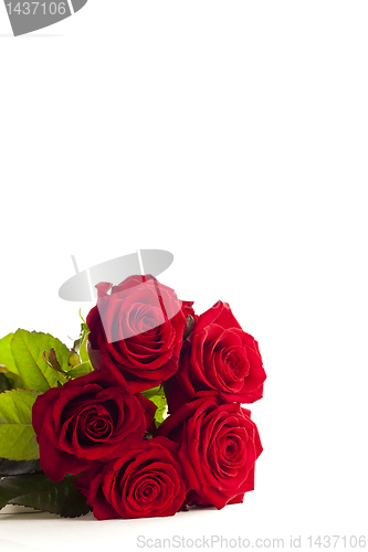 Image of Five isolated red roses