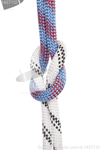 Image of climbing ropes