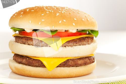 Image of Double cheese burger