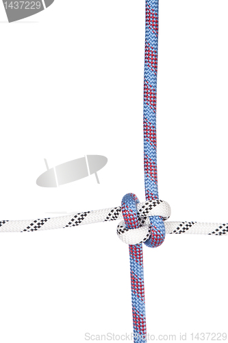 Image of climbing ropes