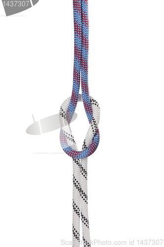 Image of climbing ropes