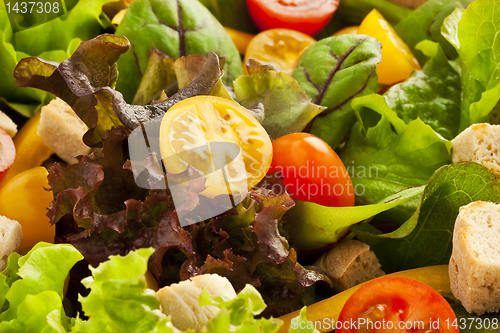 Image of Green salad close up