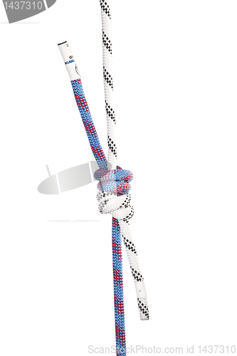 Image of climbing ropes