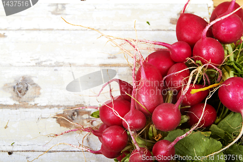 Image of radish on grunge background