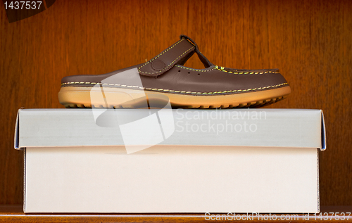 Image of brown shoe on box