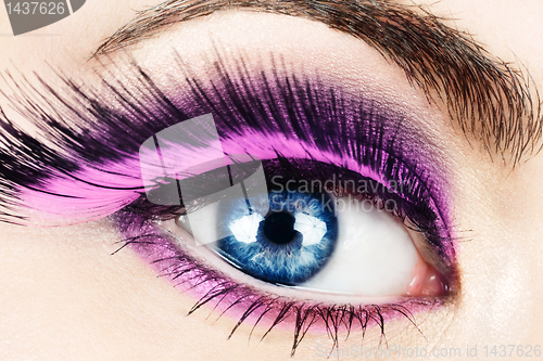 Image of Macro of eye with fake eyelashes.