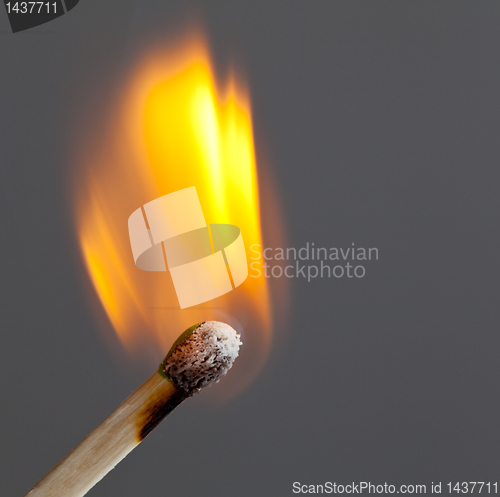 Image of Green headed match starts to smoulder