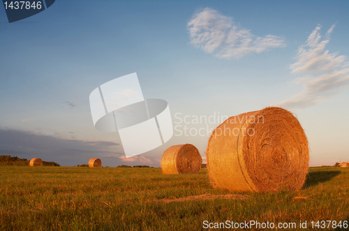 Image of Stacks in the field