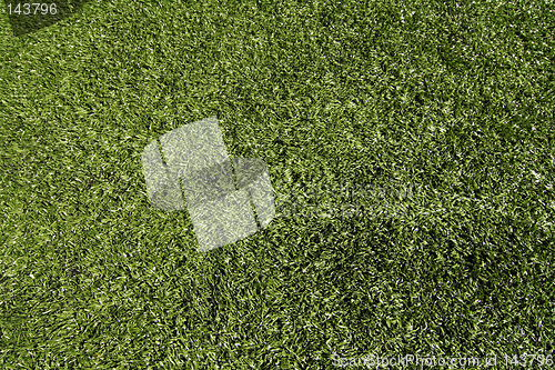 Image of Artificial turf