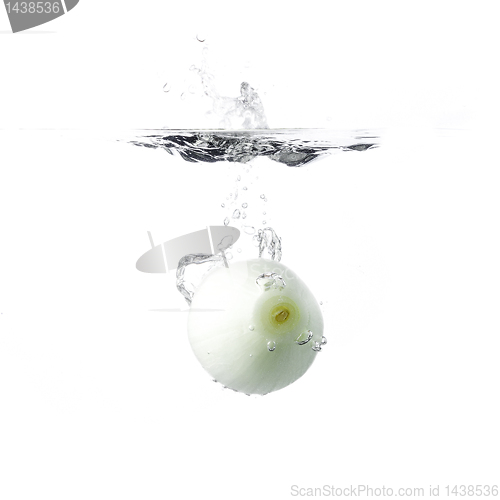 Image of onion in water