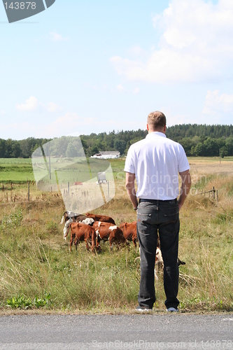 Image of Man looking out over his land