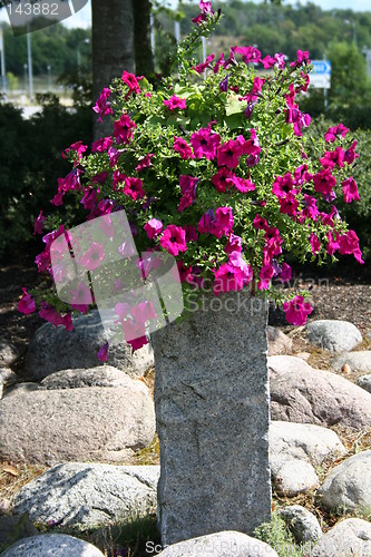 Image of Decoration of roundabout