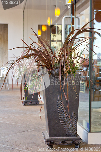 Image of The flower pots