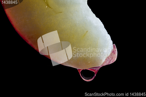 Image of Water drop on a slice of apple