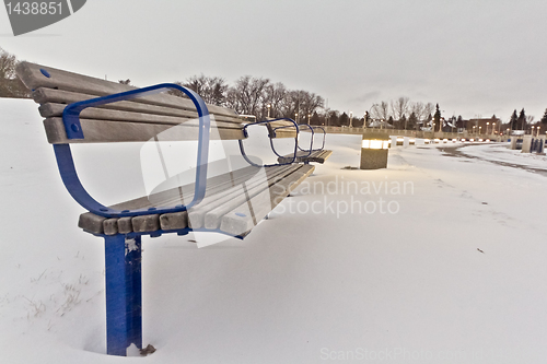 Image of Park Bench