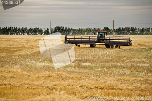 Image of Combine harvester in a wheat field