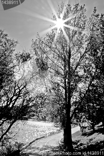 Image of Let is shine
