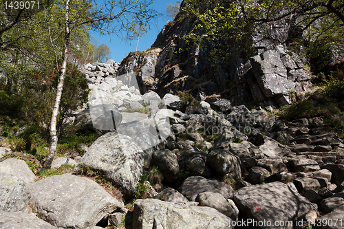 Image of Track to Preikestolen