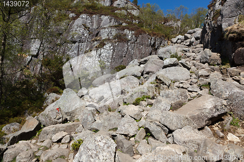 Image of Track to Preikestolen