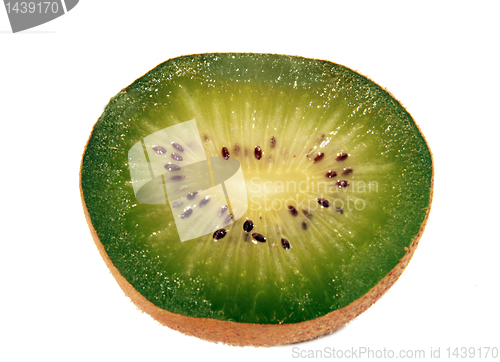 Image of kiwi