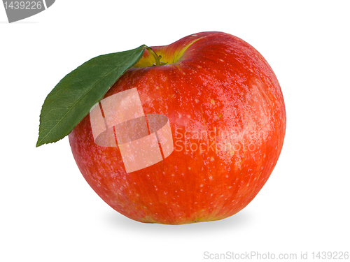 Image of apple isolated