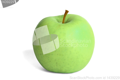Image of apple on white