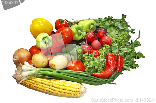 Image of Colorful fresh group of vegetables 