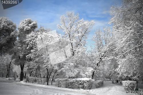 Image of landscape park in winter 